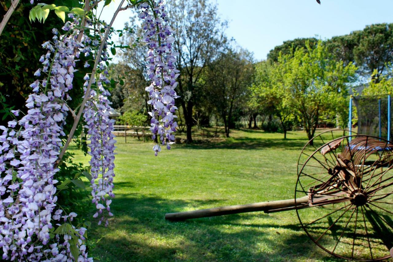 Agriturist Prile Villa Castiglione della Pescaia Luaran gambar