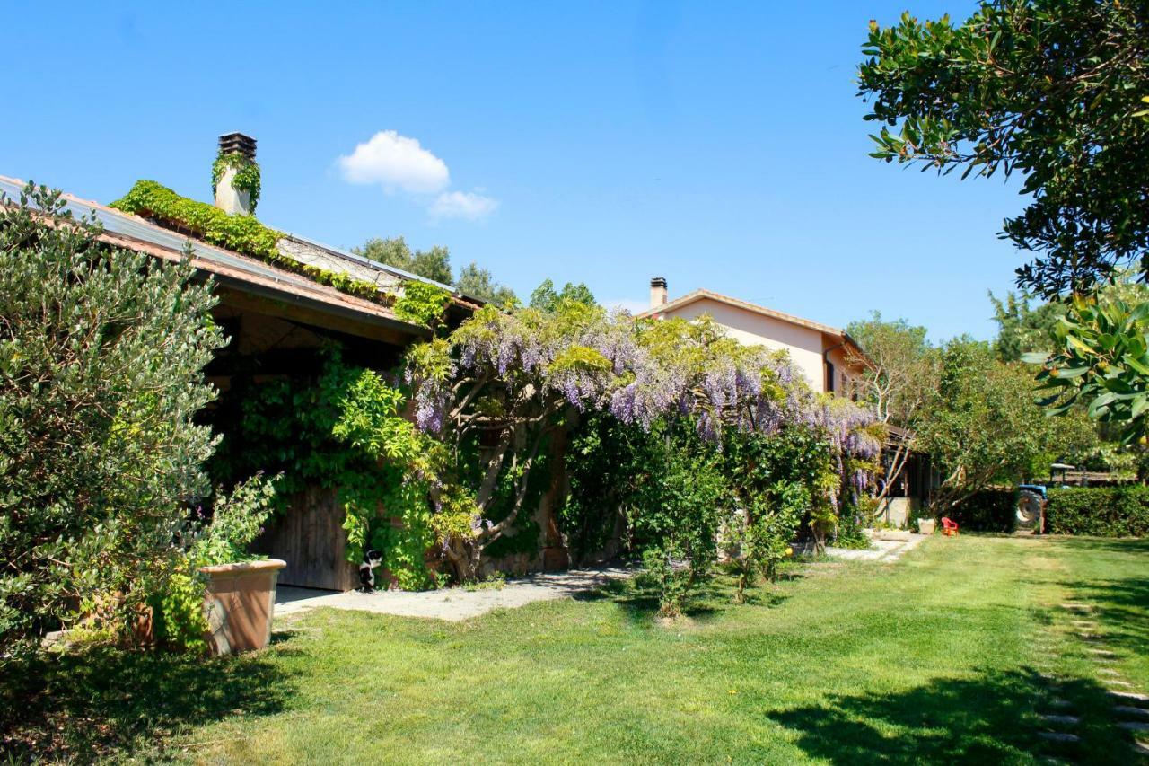 Agriturist Prile Villa Castiglione della Pescaia Luaran gambar